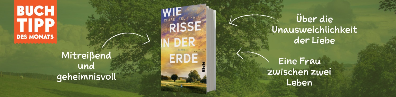 Buchtipp des Monats Mai ist Wie Risse in der Erde von Clare Leslie Hall